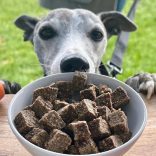 the innocent HOUND - levegőn szárított prémium eledel - Brit bárány 