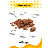Whizzopet - Bio Propoliszos ámorakác méz kutyának