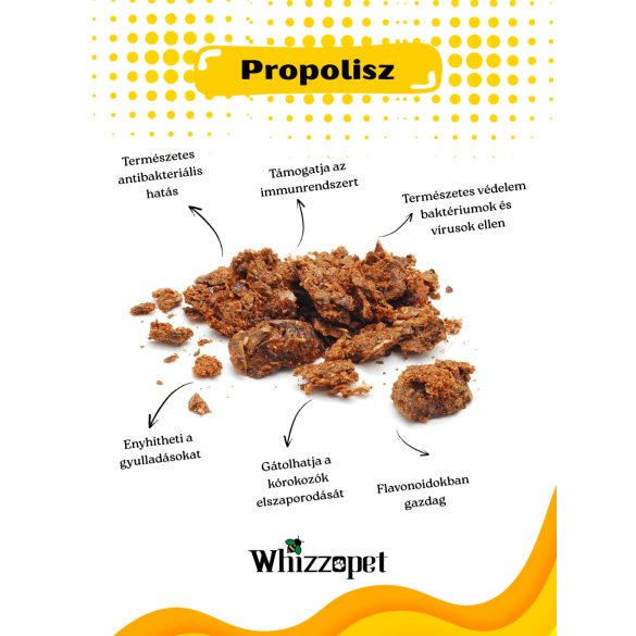 Whizzopet - Bio Propoliszos ámorakác méz kutyának