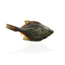 Pets Best - lepényhal 