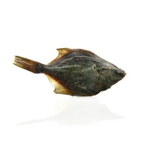 Pets Best - lepényhal 