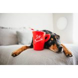 P.L.A.Y - Holiday Classic Ho Ho Ho - Hot Chocolate 