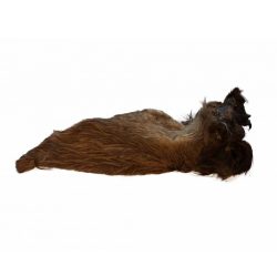 Teomann - Szárított szőrös szarvasfülek 