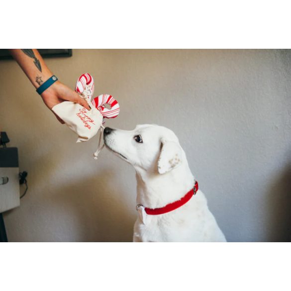 P.L.A.Y -  Holiday Classic Cheerful - Candy Cane csomag 