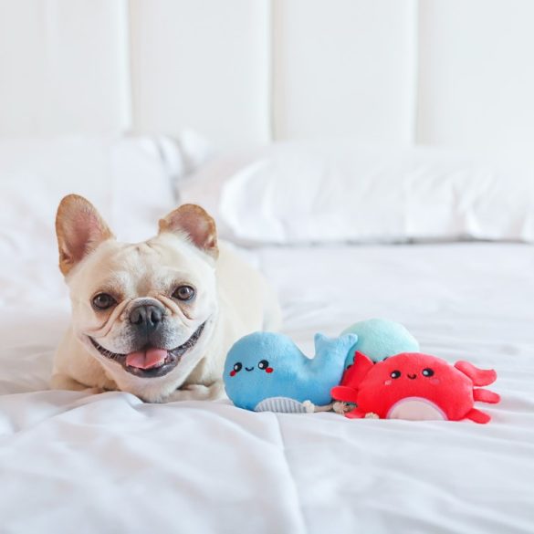 HugSmart - Tengeri lények 