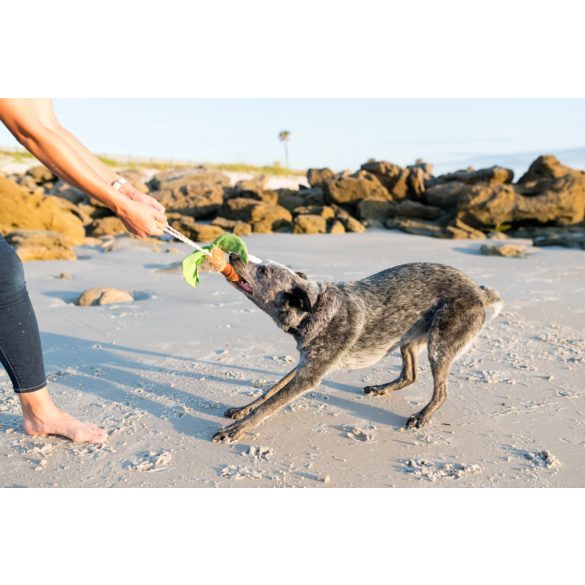 P.L.A.Y - Tropical Paradise - Pálmafa