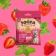 Soopa Dog-Quiri Healthy Bites - epres, mentás egészséges falatok 50g