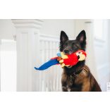 P.L.A.Y - Fetching Flock - Papagáj 