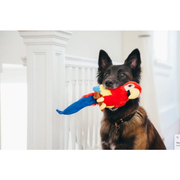 P.L.A.Y - Fetching Flock - Papagáj 