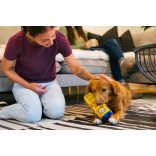 P.L.A.Y - Totally Touristy - Big Ben - M