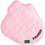 Hunter Koloa - Pigasso 