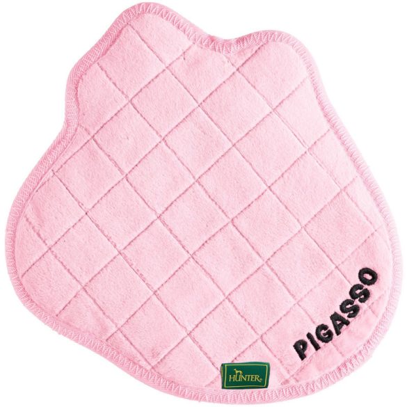 Hunter Koloa - Pigasso 