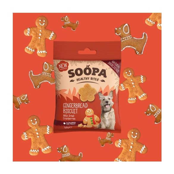 SOOPA - Healthy Bites - mézeskalács falatok 