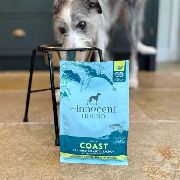  the innocent HOUND - levegőn szárított eledel - a partról 