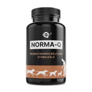 Quebeck - NORMA-Q probiotikumos bélflóra stabilizáló