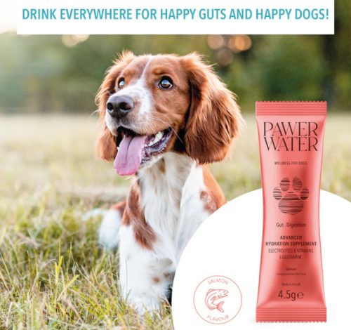 Pawer Water - Gut&Digestion - Bél és emésztés 