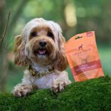 the innocent HOUND - egész kolbászkák - szarvas és lazac 