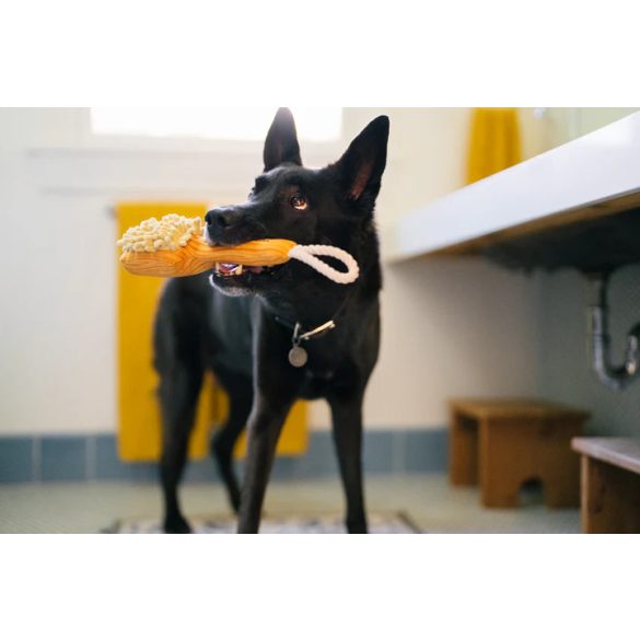 P.L.A.Y - Splish Splash Bark n' - Kefe 