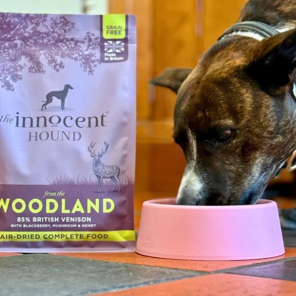 the innocent HOUND - levegőn szárított eledel - az erdőből