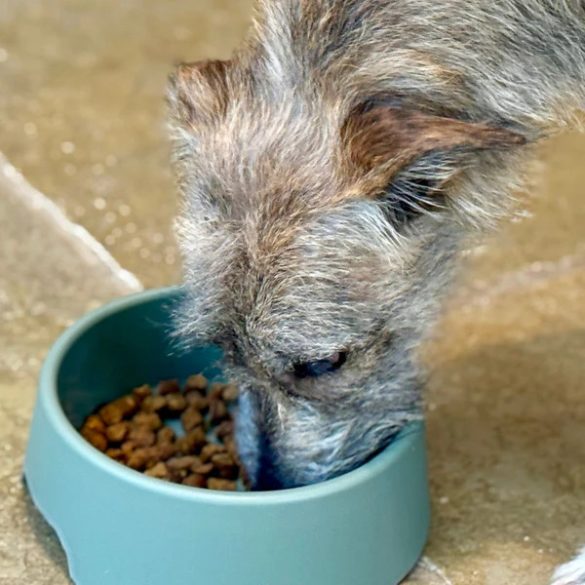 the innocent HOUND - levegőn szárított eledel - az erdőből