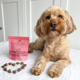 the innocent HOUND - Training csemege - marha és eper