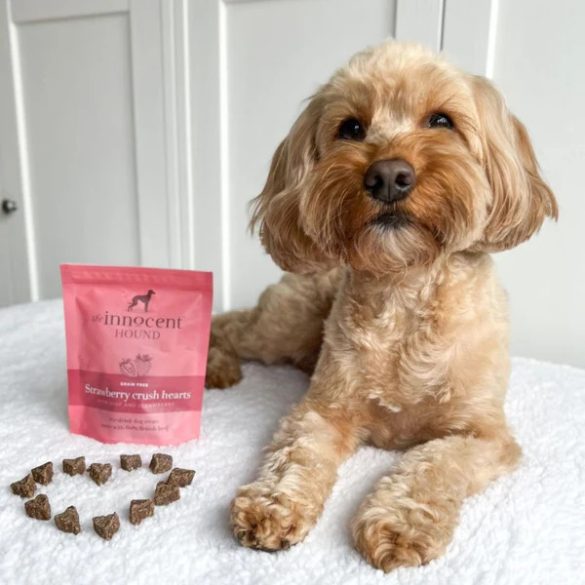 the innocent HOUND - Training csemege - marha és eper