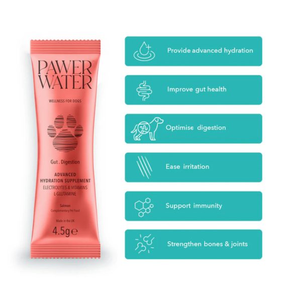 Pawer Water - Gut&Digestion - Bél és emésztés 