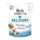 Brit Care Functional Snack Recovery – Homoktövis és hering 150g 2024.12.02