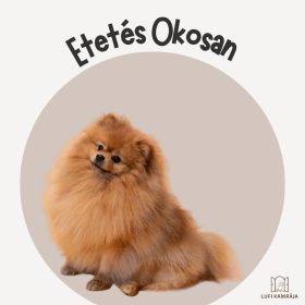 Etetés Okosan 