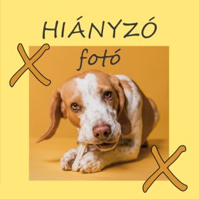 Tölthető játékok